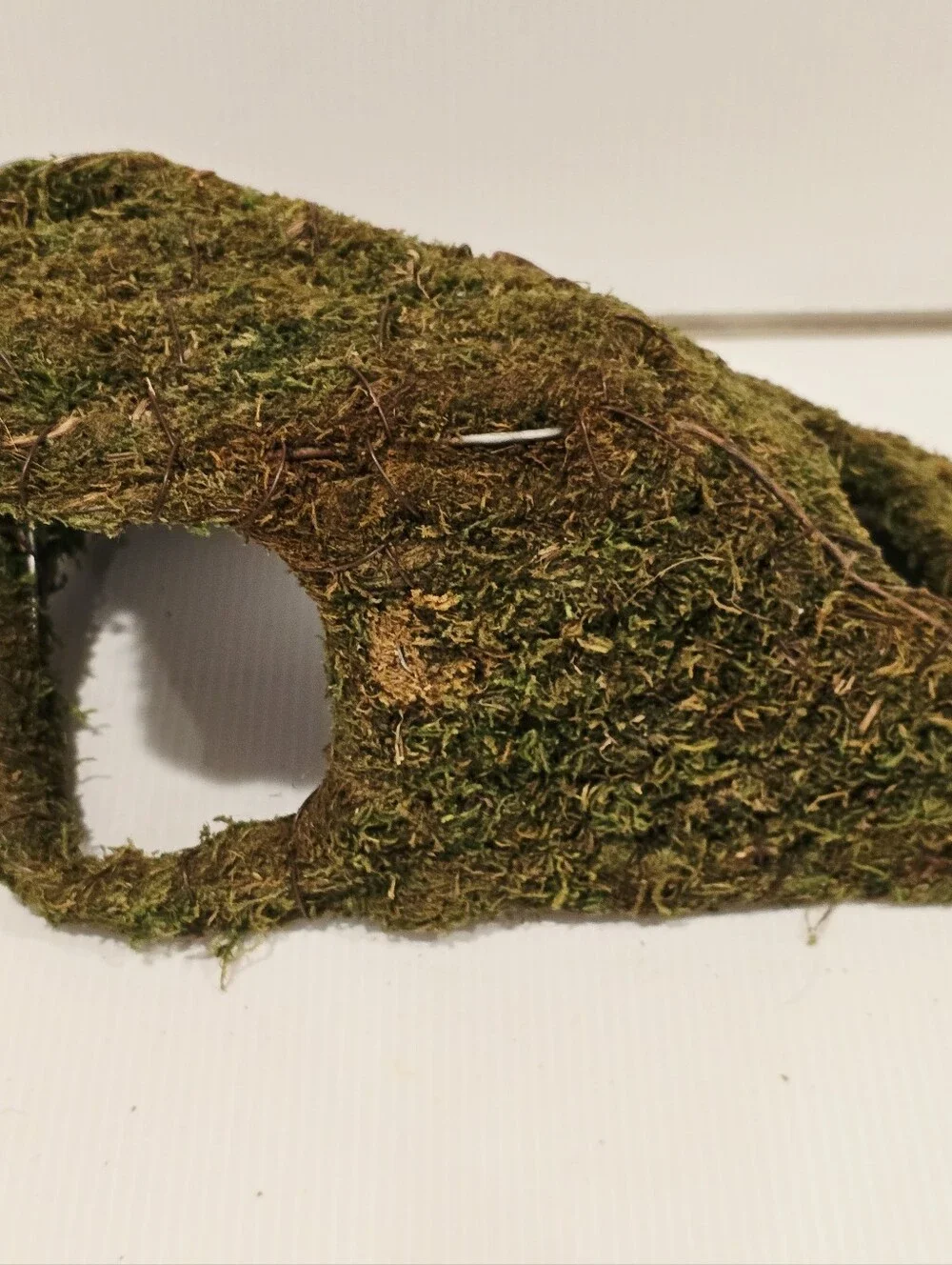 Galapagos Sapa Corner Hide Terrarium Hideaway